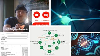 AQA Biology ALevel paper 2 Live stream [upl. by Amye282]