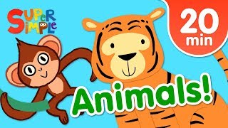 Our Favorite Animals Songs For Kids  Super Simple Songs [upl. by Norehs679]