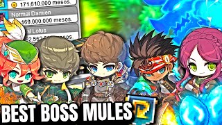 5 AMAZING Boss Mules To Make in Maplestory NEW AGE [upl. by Fulcher]