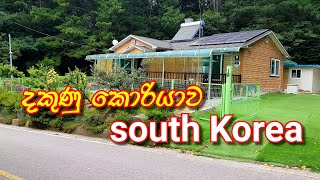 South Korea  sindu sindu [upl. by Badr937]