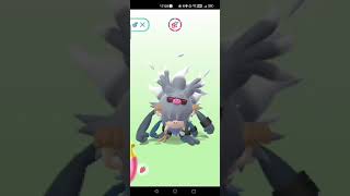 Funny Mankey Primeape Annihilape pokemongo pokemon pikachu mankey Annihilape Primeape [upl. by Dorri]