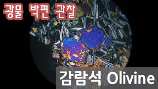 광물 감람석 박편 관찰하기 Olivine in thin section [upl. by Siuqcram]