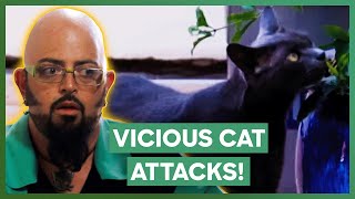 Jackson Galaxy Deals With A VICIOUS Cat Who Keeps Attacking People  My Cat From Hell [upl. by Adnohsek]