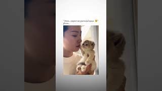 Kitten Doesnt Like Kisses Hilarious Reaction to Affection 😹💋 catlovers kittyantics [upl. by Akerdnuhs]