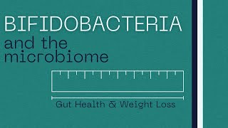 Bifidobacteria  Role in Gut Health  Weight Loss [upl. by Kessler]