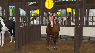 Star stable online  Noriker horse has arrived not buying [upl. by Lorou596]