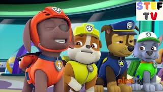 Paw Patrol sneeze compilation [upl. by Adian]