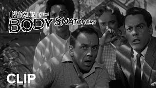 INVASION OF THE BODY SNATCHERS  quotPodsquot Clip  Paramount Movies [upl. by Ainos]