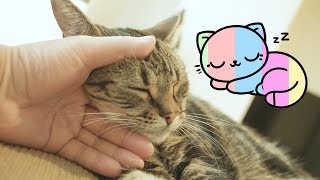 GATO DURMIENDO y Ronroneando en ASMR 😽💤 Se duerme mientras lo ACARICIO [upl. by Strader]