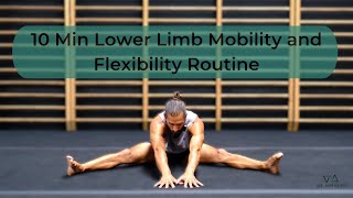 10 Min Lower Limb Mobility and Flexibility Routine for people who sit all damn day with a bonus [upl. by Ronym517]