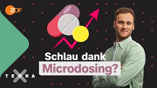 Smart Drugs Lernen mit Ritalin und Microdosing  Terra Xplore mit Psychologe Leon Windscheid [upl. by Enrahs]