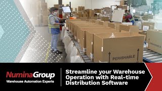 Warehouse Execution System  Realtime Distribution Software RDS Numina Groups WESWCS Suite [upl. by Hanimay]