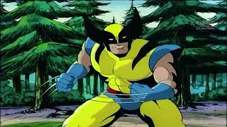 Wolverine  All Powers from XMen The Animated Series [upl. by Joashus]