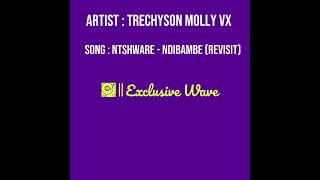 Trechyson Molly vx  Ntshware  Ndibambe Revisit  Amapiano [upl. by Levitus]