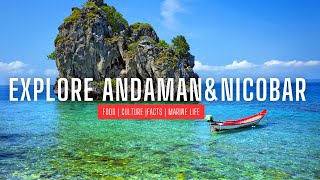 Andaman and Nicobar Islands  The Hidden TreasureBeautiful Islands in India [upl. by Anilys226]