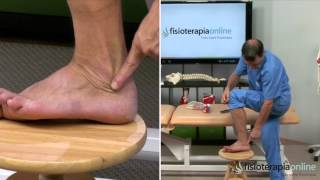 Tratamiento de la tendinitis de los peroneos  Fisioterapia Bilbao [upl. by Hidie]