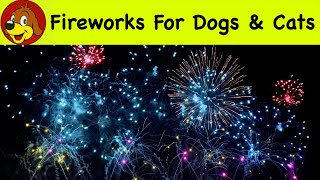 Fireworks Sounds For Scared Dogs 💖 Dog Desensitizing Noises  Help Relax Puppies [upl. by Torry]