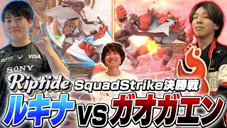 【Riptide】堅実なしゅーとんルキナと全てを破壊するミーヤーガオガエンに大興奮のがくと【スマブラSP】 [upl. by Euqor]