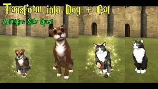 Becoming Dog amp Cat Animagus Side Quest Harry Potter Hogwarts Mystery [upl. by Staffard]