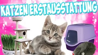 KatzenErstausstattung  Die richtige Erstausstattung für die Katze bzw Kitten [upl. by Iral]