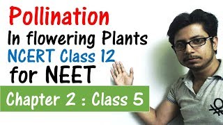 Pollination in flowering plants class 12 NCERT  reproduction in flowering plants for NEET [upl. by Halimak]