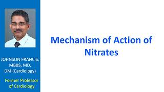 Mechanism of Action of Nitrates [upl. by Aicul]