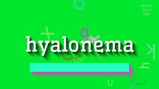 HOW TO SAY HYALONEMA hyalonema [upl. by Wallas]