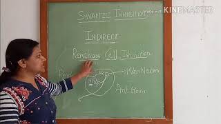 Physiology of synaptic inhibition [upl. by Mark]