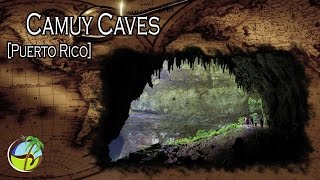 Camuy Caves Puerto Rico [upl. by Rafaelita602]