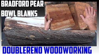 Bowl Blanks From A Bradford Pear Trunk [upl. by Orvie]