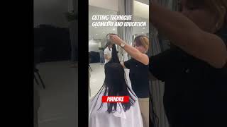 Cutting Technique  Geometry and Education shortvideo hair hairstyle [upl. by Teresa]