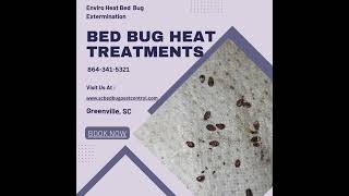 Bites and you arent sure if they are bed bug bites Greenville SC bedbugservice [upl. by Waller136]