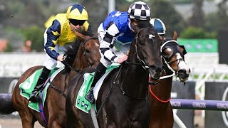 Caulfield Cup Day 2023 Horse Racing Tips  Around The Country [upl. by Torrence753]