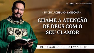 Homilia Diária  Liturgia de Hoje Palavra do Dia  Padre Adriano Zandoná [upl. by Kindig]