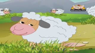 Sheep Baaing Sound Effects [upl. by Esina]