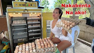 Unang Kinita ko sa Pagbenta nang Fertile Eggs nang Rhode Island Daming Orders [upl. by Gifferd252]