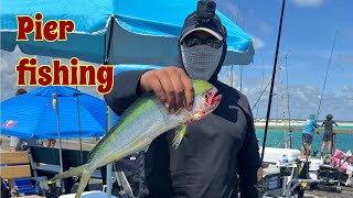 Pier Fishing the Okaloosa and Navarre Fishing Pier [upl. by Yaf]