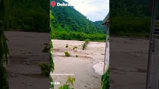 Flash flood in Dehradun 20 August 2022 [upl. by Wileen]