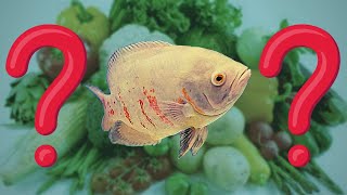 What VEGETABLES and FRUITS to feed Oscar Fish [upl. by Erual842]