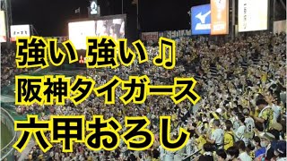 六甲おろし 甲子園ライトスタンド 非公式【心の歌詞付き】奇跡の借金16完済 [upl. by Venola]