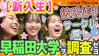 【早稲田大学】笑顔の入学式 彼氏作りに補欠合格？ [upl. by Yeruoc]