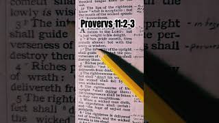 Proverbs 1123 proverbs wisdom bible verseoftheday [upl. by Jeffries]