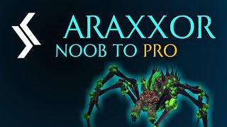 Rax Noob To Pro  Araxxor Solo Guide Ranged  RuneScape 3 [upl. by Mcintosh]