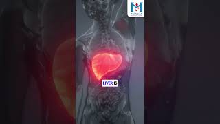 What are Liver Function Tests LFTs [upl. by Aramac]