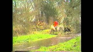 Fox Hunting in Ireland [upl. by Aluk]