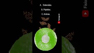 Repasa fisiología Endocrina  Preguntas y respuestas de la fisiología del sistema endocrino [upl. by Rodolphe]