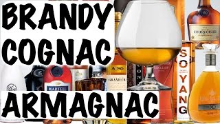 Cognac Brandy and Armagnac  Alcohol 101 [upl. by Fredella]