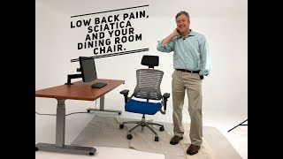 Dining room chairs Low Back Pain Sciatica and how a Lumbar Cushion can help [upl. by Abdel]