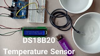 DS18B20 Temperature Sensor with Arduino Uno [upl. by Hayifas]