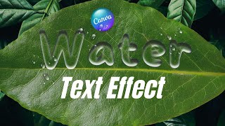 Water Text Effect Tutorial  Canva Typography Tutorial [upl. by Ednargel992]